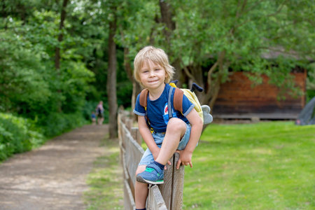 Little toddler child, boy, walking on little path next to a fence in the park, hiking on a summer dayの写真素材