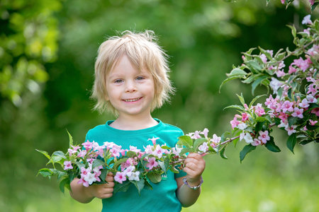 Cute little toddler child, standing next to a beautiful flower bush in spring parkの写真素材