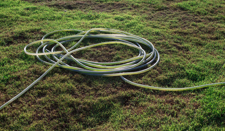 rubber band on grass lawn in gardenの写真素材
