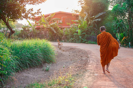 Buddha monk walk in the morning for receive food from Buddhism.の写真素材