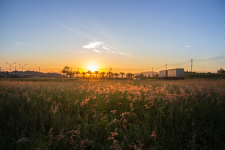 The morning sun has a beautiful orange light. A view of a meadow with a truck. Silhouette conceptの写真素材