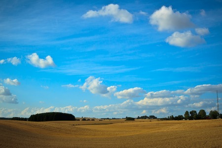 fields and meadows of Scania, Swedenの写真素材