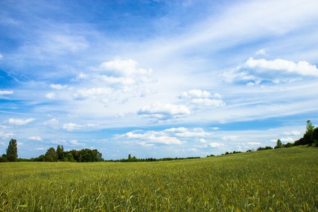 Landscape near Kiev, Ukraine.の写真素材