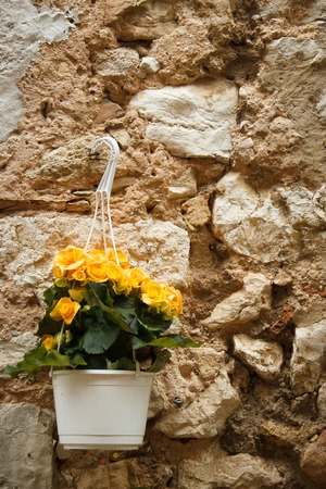 flowerpot on an old ancient brick wallの写真素材