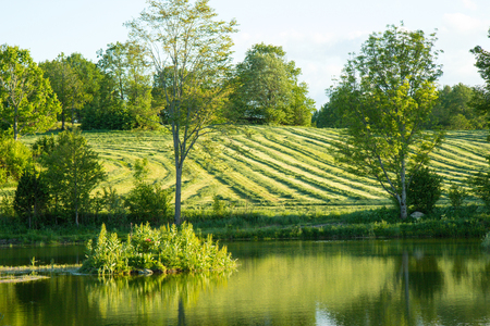beautiful lake landscape in sothern Sweden, springtimeの写真素材