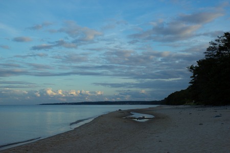 evening on the beach at Stenshuvud National Park, Swedenの写真素材