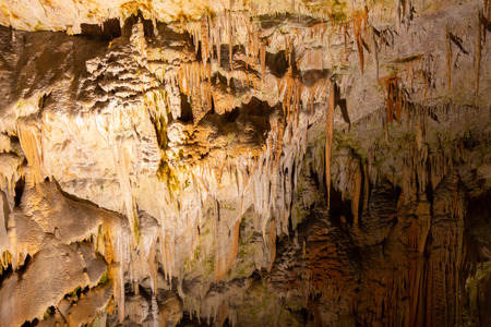 Postojna cave, one of the nost visited attraction in Slovenia