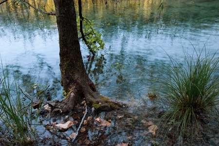 turquoise waters of Plitvice Lakes National Park in Croatia.の写真素材
