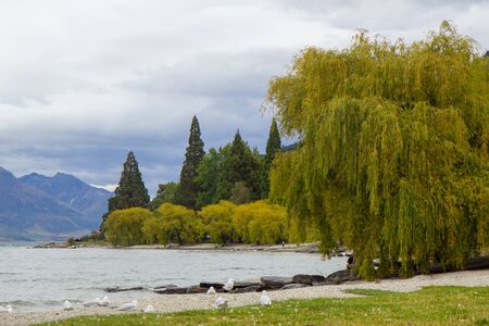 Lakeside of Wakatipu lake in Queenstown, South Island, New Zealandの写真素材