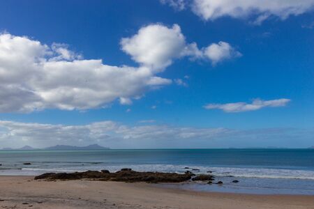 pink seaweed on Waipu beach, North Island, New Zealandの写真素材