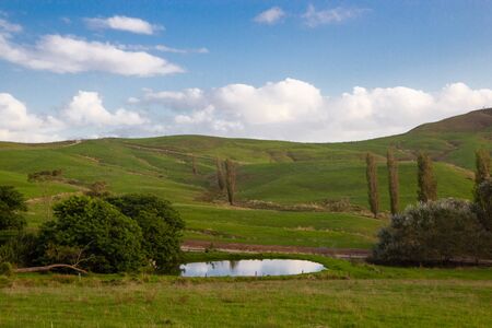 beautiful green hills of New Zealand, North island