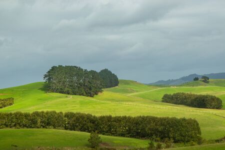 View of green hills of North island of New Zealand