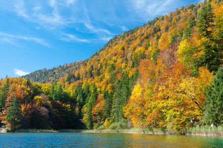 view of Alpsee lake in Bavaian Alps near Schwangau, Germanyの写真素材