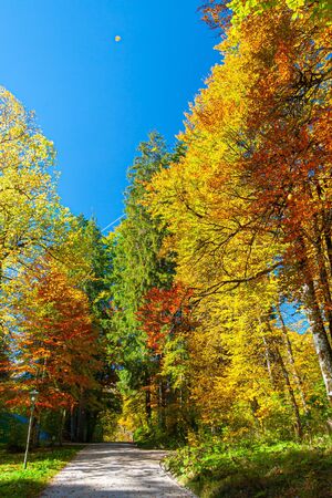 Sunny autumn day in Bavarian Alps, southern Germanyの写真素材