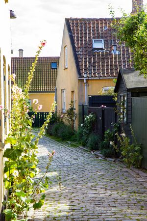 old yellow houses of old fisherman town Dragor, Denmarkの写真素材