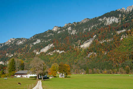 Beautiful fields and meadows of Bavarian Alps, Germanyの写真素材