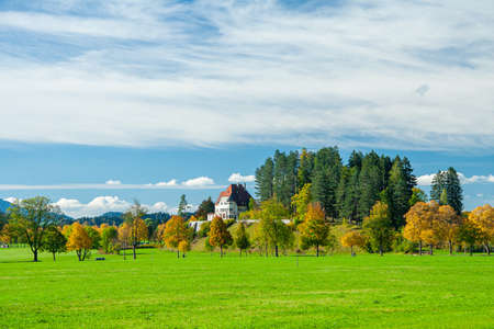 Beautiful fields and meadows of Bavarian Alps, Germanyの写真素材