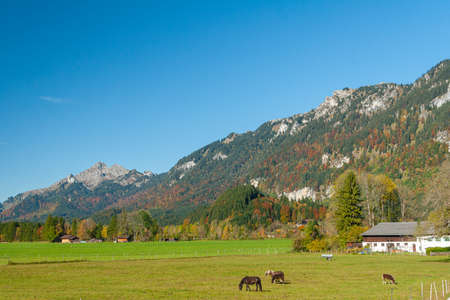 Beautiful fields and meadows of Bavarian Alps, Germanyの写真素材