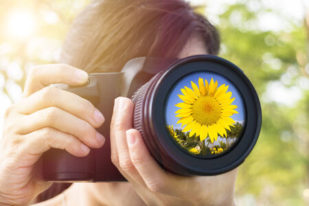 young Woman taking photo with sunflowerの写真素材