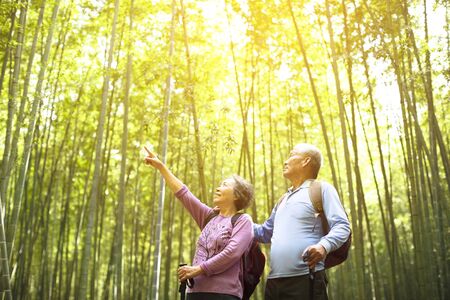 Senior Couple hiking in green bamboo forestÂ の写真素材