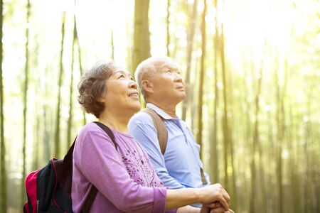 Senior Couple hiking in green bamboo forestÂ の写真素材