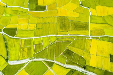 Aerial view of Beautiful Rice Fields in taitung . Taiwan.の写真素材