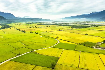 Aerial view of Beautiful Rice Fields in taitung . Taiwan.の写真素材