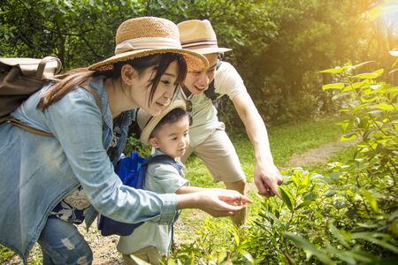 parent teaching son about nature and plantの写真素材