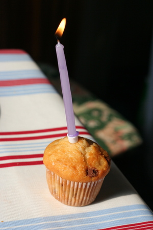 birthday cakeの写真素材