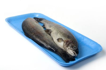 Two fresh trouts on blue platterの写真素材