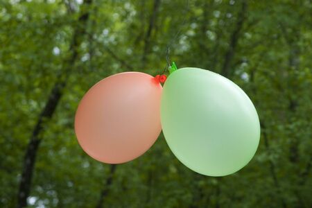 Two baloons tied to tree. Green wood around.の写真素材
