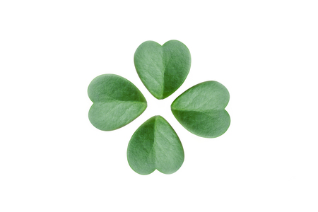 green leaf and green heart ,grass on isolated and whiteの写真素材