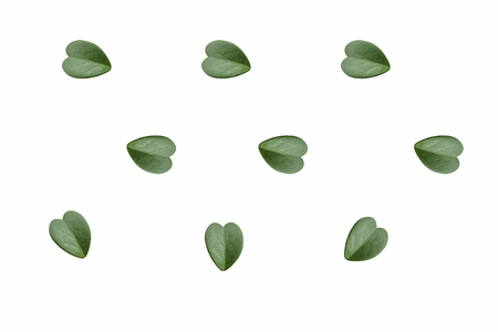 green leaf and green heart ,grass on isolated and whiteの写真素材