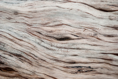 Wood  texture background old.の写真素材