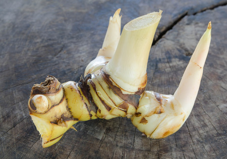 Galangal on the wooden floorの写真素材