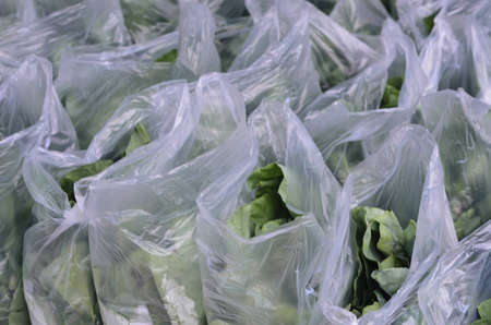  vegetable field  の写真素材