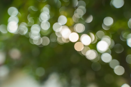 Beautiful natural bokeh blur background make the beauty of light.の写真素材