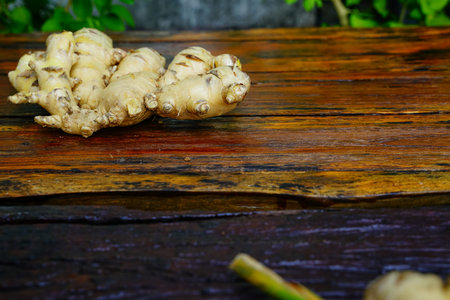 fresh ginger on the wooden floor  Ginger is a useful herb and used as a spice in cooking.