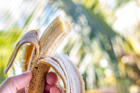 fruitsの写真素材