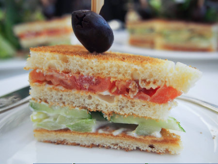 tomatoes and cucumbers sandwichの写真素材