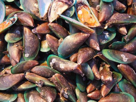 Mussel, Thai seafood