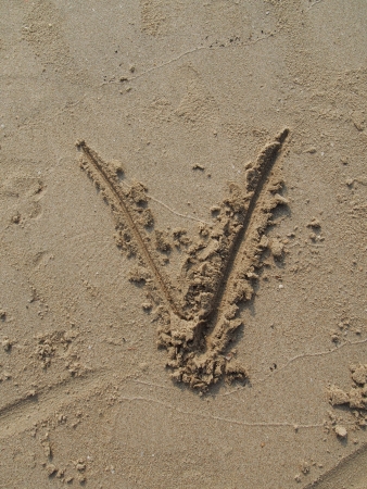 V, English lettersの写真素材