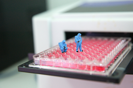 Miniature people scientist at work on microtiter plateの写真素材
