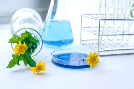 Flower with laboratory glassware with bluel liquids for chemical experimental in laboratory, analysis research, science backgroundの写真素材