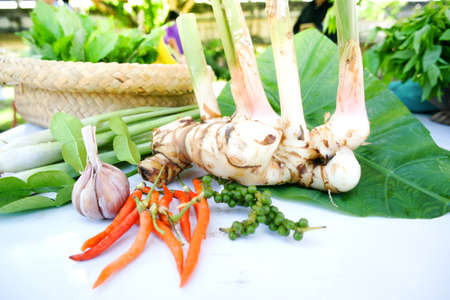 The herb and spice ingredients on white tableの写真素材