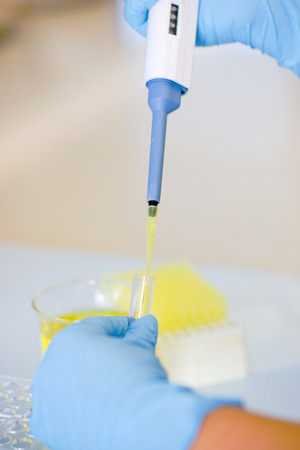 Scientist working in chemical laboratory with automatic pipette. Wearing blue gloves.の写真素材