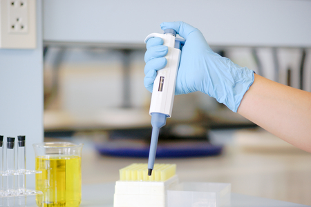 Scientist working in chemical laboratory with automatic pipette. Wearing blue gloves.の写真素材