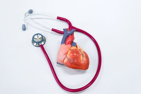 Healthy concept : Human heart model with stethoscopeの写真素材