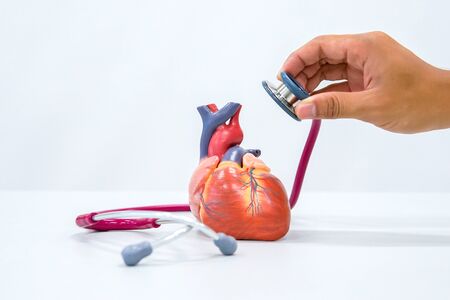 Healthy concept : Human heart model with stethoscopeの写真素材