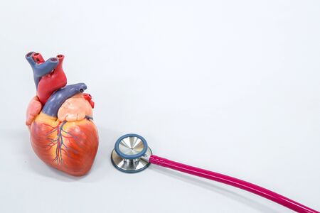 Healthy concept : Human heart model with stethoscopeの写真素材